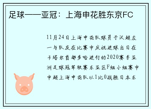 足球——亚冠：上海申花胜东京FC